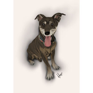 Ilustración personalizada de mascota