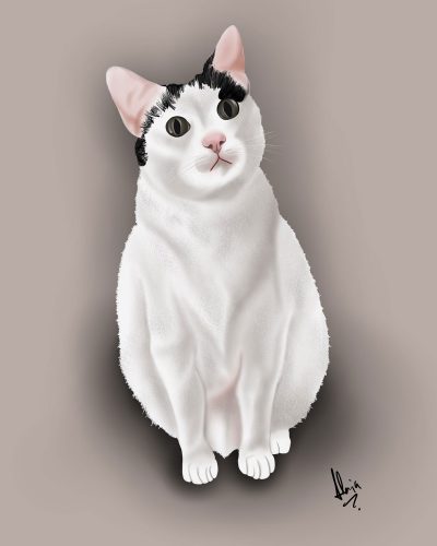 ilustracion-gato
