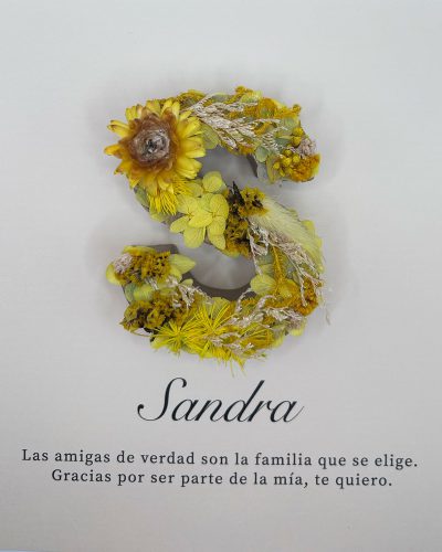 letra-s-amarilla-con-fondo